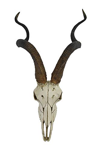 Veronese Design African Kudu Antelope Totenkopf Wandskulptur zum Aufh?ngen Cool Twisted H?rner Knochenfarben EinheitsgröÃŸe von Veronese