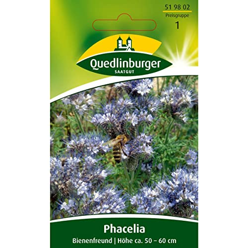 Bienenfreund, Phacelia tanacetif., Samen für ca. 3 qm von Vertriebsgesellschaft Quedlinburger Saatgut mbH