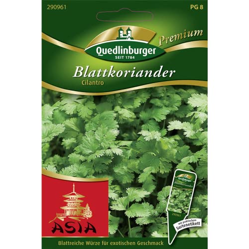 Blattkoriander, Cilantro, Coriandrum sativum, ca. 150 Samen von Vertriebsgesellschaft Quedlinburger Saatgut mbH