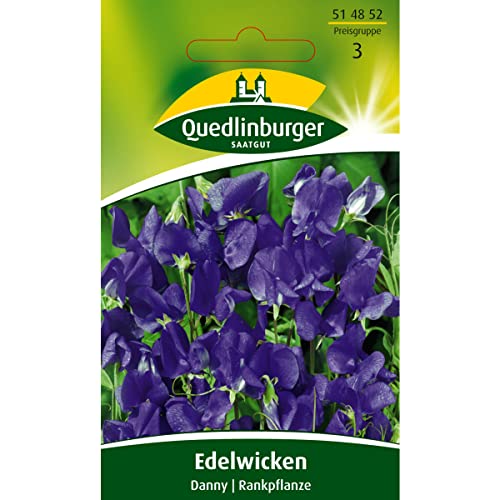 Edelwicken, Danny, Lathyrus odoratus, ca. 10 Samen von Vertriebsgesellschaft Quedlinburger Saatgut mbH