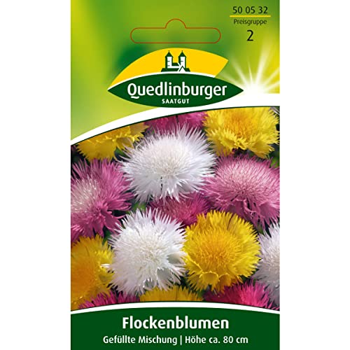 Flockenblume, Ambera moschata (Centaurea moschata), ca. 80 Samen von Vertriebsgesellschaft Quedlinburger Saatgut mbH
