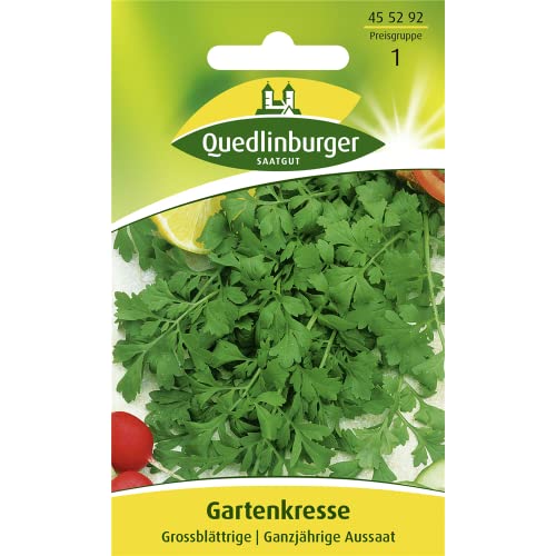 Großblättrige Gartenkresse, Lepidium sativum, Samen für ca. 0,2 qm von Vertriebsgesellschaft Quedlinburger Saatgut mbH