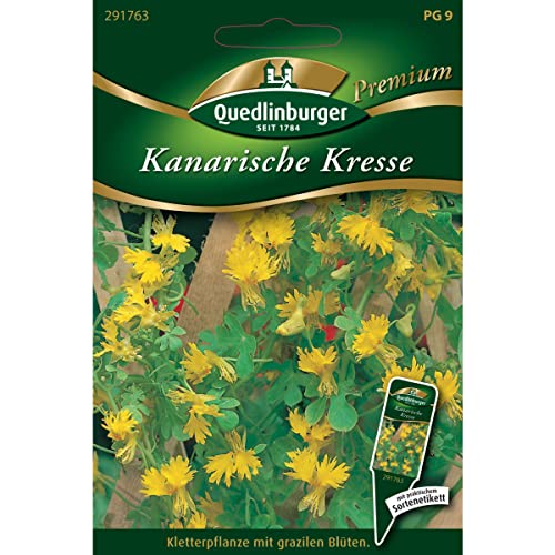 Kanarische Kresse, Tropaeolum peregrinum, ca. 20 Samen von Vertriebsgesellschaft Quedlinburger Saatgut mbH