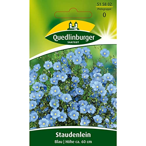 Lein, Blau, Linum perenne, ca. 50 Samen von Vertriebsgesellschaft Quedlinburger Saatgut mbH