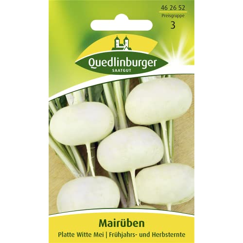 Mairüben, Platte Witte Mei, Brassica rapa var. rapa, ca. 500 Samen von Vertriebsgesellschaft Quedlinburger Saatgut mbH