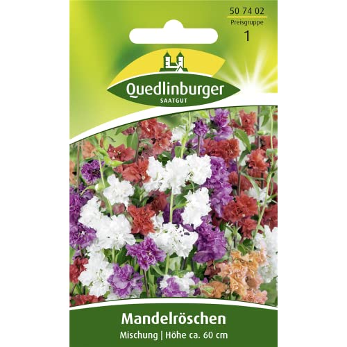 Mandelröschen, Clarkia unguiculata, ca. 200 Samen von Vertriebsgesellschaft Quedlinburger Saatgut mbH