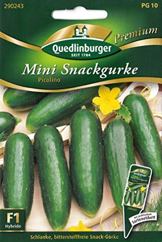 Mini Snackgurke Picolino, bitterstofffrei, Cucumis sativus L., ca. 5 - 8 Samen von Vertriebsgesellschaft Quedlinburger Saatgut mbH