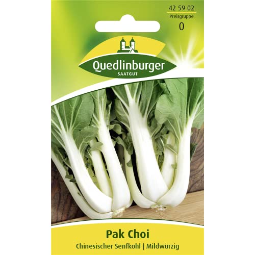 Pak Choi, Pok Choi, Japanischer Stengelkohl, Brassica camprestris, ca. 40 Samen von Vertriebsgesellschaft Quedlinburger Saatgut mbH
