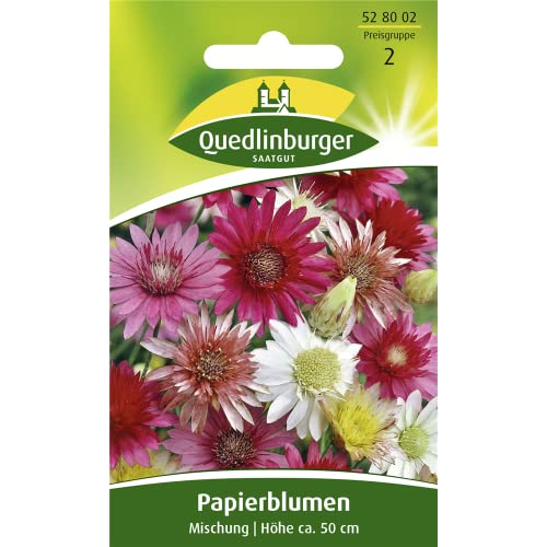 Papierblumen, Xeranthemum annuum, ca. 60 Samen von Vertriebsgesellschaft Quedlinburger Saatgut mbH