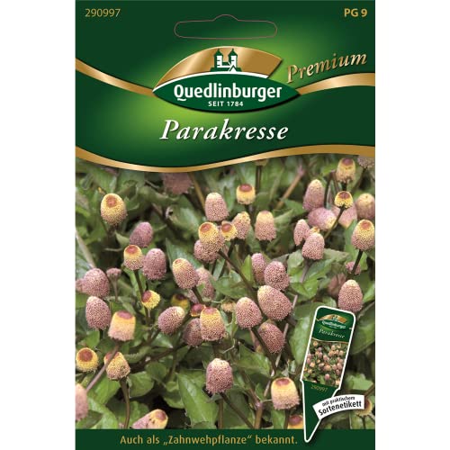 Parakresse, Spilanthes oleracea, ca. 100 Samen von Vertriebsgesellschaft Quedlinburger Saatgut mbH