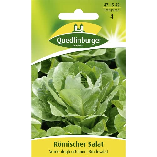 Römischer Salat, Verde Degli Ortolani, ca. 500 Samen von Vertriebsgesellschaft Quedlinburger Saatgut mbH