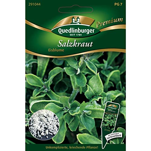 Salzkraut, Mesembryanthemum crystallinum, ca. 5-9 Samen von Vertriebsgesellschaft Quedlinburger Saatgut mbH