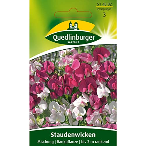 Staudenwicken, Mischung, Lathyrus latifolius, ca. 10 Samen von Vertriebsgesellschaft Quedlinburger Saatgut mbH