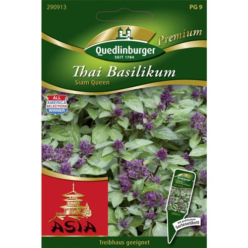 Thai Basilikum, Ocimum basilicum L., ca. 100 Samen Thai Basilikum, Ocimum basilicum L., ca. 100 Samen von Quedlinburger