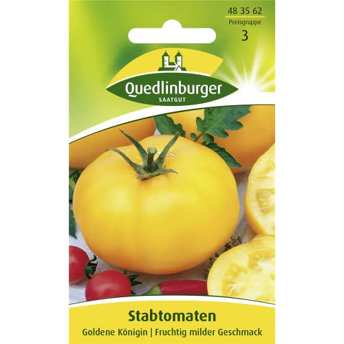 Tomaten, Tomate, Goldene Königin, Lycopersicon esculentum, ca. 20 Samen von Vertriebsgesellschaft Quedlinburger Saatgut mbH