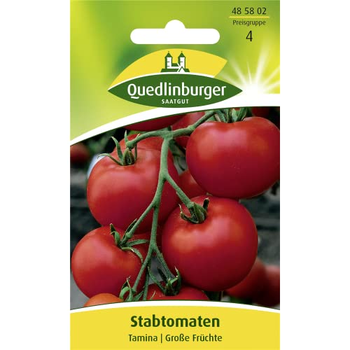 Tomaten, Tomate, Tamina, Lycopersicon esculentum, ca. 80 Samen von Vertriebsgesellschaft Quedlinburger Saatgut mbH