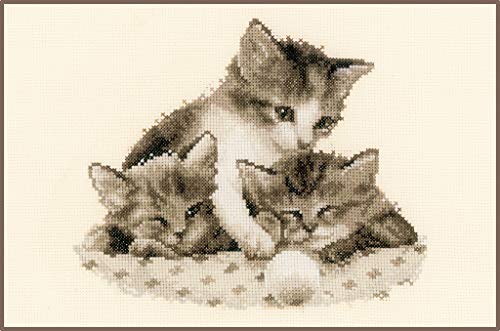 Vervaco Stickpackung Zählmuster Spielende Kätzchen, Baumwolle, Mehrfarbig, 23 x 20 x 0.3 cm von Vervaco