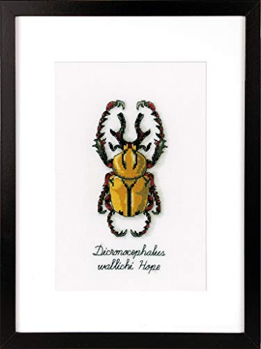 Vervaco Zählmusterpackung Goldener Käfer Aida Kreuzstickpackung zum Auszählen, weiß, 10 x 19 x 0,3 cm von Vervaco
