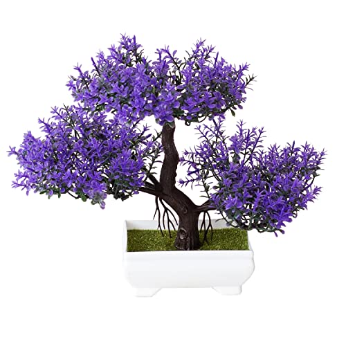 Verve Jelly Artificial Bonsai Tree, Artificial Potted Plants, Artificial Plants, Artificial Potted Plants, Bonsai Tree for Indoor Outdoor Home Office Desk Decoration, 7 x 9.8 inch von Verve Jelly