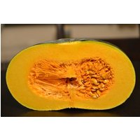 20 Burges Buttercup Winterkürbisse Samen, Süßes Oranges Fruchtfleisch 20 Burges Buttercup Winterkürbisse Samen, Süßes Oranges Fruchtfleisch von VerveinaSeeds