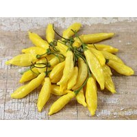 50 Bio Lemon Drop Chili Samen Hot Drop Chilli Peperone Semi Semillas Poivre Graines Sementes Siemenet Somen Zaden von VerveinaSeeds