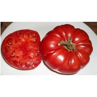 50 Bio Omar Es Außergewöhnliche Tomatensamen Außergewöhnliche Süße, Reichhaltige Geschmacksrichtung Eine Der Größten Obstenden von VerveinaSeeds