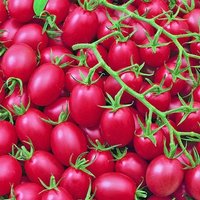 50 Bio Pink Grape Tomatensamen Süß Und Sehr Produktivheirloom Offene Bestäubte Tomate von VerveinaSeeds