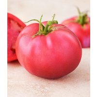 50 Bio Pink Ponderosa Tomaten Samen Süßen, Reichen Geschmack Open Pollinated Erbstück Rosa Ponderosa Tomate Tomat Semi Samen Körner von VerveinaSeeds