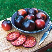 Sale 100 Bio American Blue Erbstück Schwarze Tomaten Tomat Pomodoro Tomate Samen Somen Sementes Zaad Zaden Graines Semillas von VerveinaSeeds