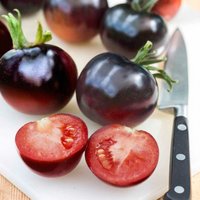 Sale 50 Bio American Blue Heirloom Schwarze Tomate Pomodoro Samen Somen Sementes Zaad Zaden Granies Semillas von VerveinaSeeds
