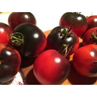 30 Bio American Blue Heirloom Schwarze Tomate Pomodoro Samen Somen Sementes Zaad Zaden Getreide Semi Semillas von VerveinaSeeds