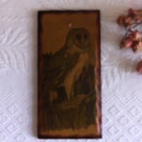 Vintage Decoupage Eulen-Holzwandbild. Rasiertes Holz Um Die Grenze, Schichten Von Natürlichen Holzfarben Zeigt von VeryVictorianStudio