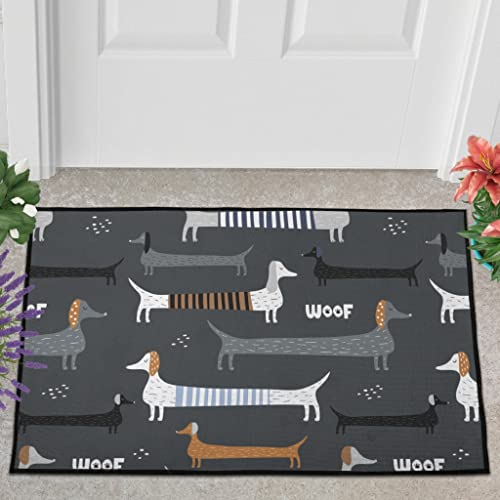 Veryday Dackel Hund Tiere Fußmatte Türmatte Eingangsmatte Fußabtreter Fußabstreifer Türvorleger Schmutzmatte Sauberlaufmatte Haustürmatte für Badezimmer White 40x60cm von Veryday