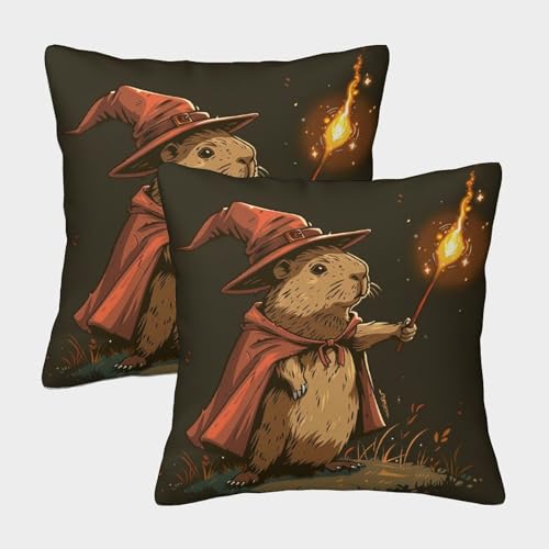 VesFy Niedliches Capybara Wurfkissenbezug 2er-Set Kissenhüllen Mit Unsichtbarem Reißverschluss Kissen Fall Tier Weiche Quadratische Kissenbezüge Für Sofa Couch Schlafzimmer 50x50cm von VesFy