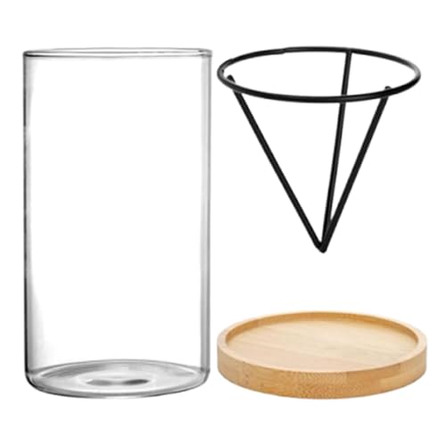 Vesidoloy Avocado-Glas-Pflanztopf, Avocadobaum-Anzuchtset | Avocadobaum-Anzuchtset, 3-teilig, Holzsockel, Starter-Vase | Pflanztopf aus Glas zur Vermehrung von Sprossen, wachsende Vase für die Vesidoloy Avocado-Glas-Pflanztopf, Avocadobaum-Anzuchtset | Avocadobaum-Anzuchtset, 3-teilig, Holzsockel, Starter-Vase | Pflanztopf aus Glas zur Vermehrung von Sprossen, wachsende Vase für die von Vesidoloy