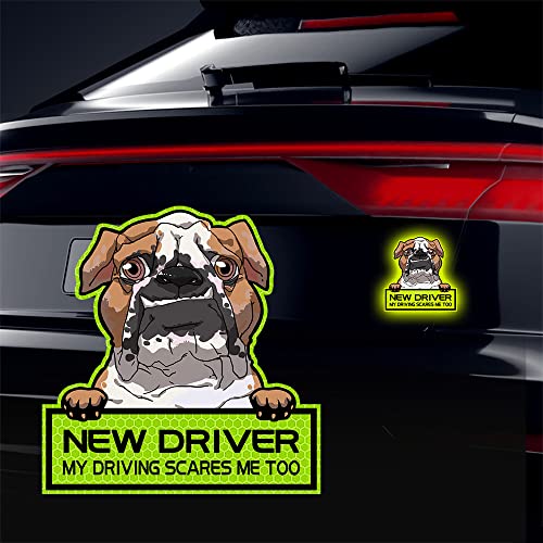 Vesvory 2 x Aufkleber "New Driver, My Driving Scares Me Too", neuer Fahrer-Aufkleber für Auto, Studentenfahrer, Stoßstangenaufkleber (fluoreszierendes Grün) von Vesvory