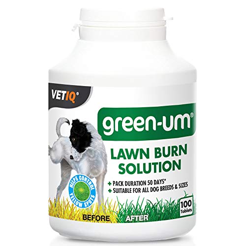 Mark and Chappell LTD 24555/3797 Mark & Chappell Hund Green-Um Rasen Burn Control - 100 Tabletten Mark and Chappell LTD 24555/3797 Mark & Chappell Hund Green-Um Rasen Burn Control - 100 Tabletten von VetIQ