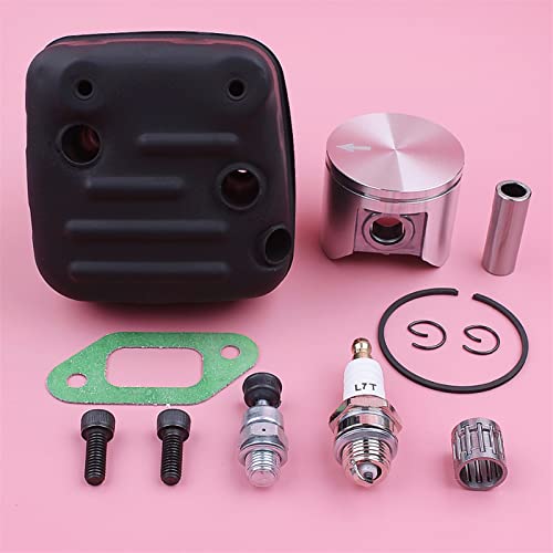 Vexilon Auspuffdichtungsbolzen, for Husqvarna, 357 359, 47 mm Kolbenringlager, Dekompressionsventilsatz, Kettensägen-Ersatzteil Kettensägen-Schalldämpfer-Kit Vexilon Auspuffdichtungsbolzen, for Husqvarna, 357 359, 47 mm Kolbenringlager, Dekompressionsventilsatz, Kettensägen-Ersatzteil Kettensägen-Schalldämpfer-Kit von Vexilon