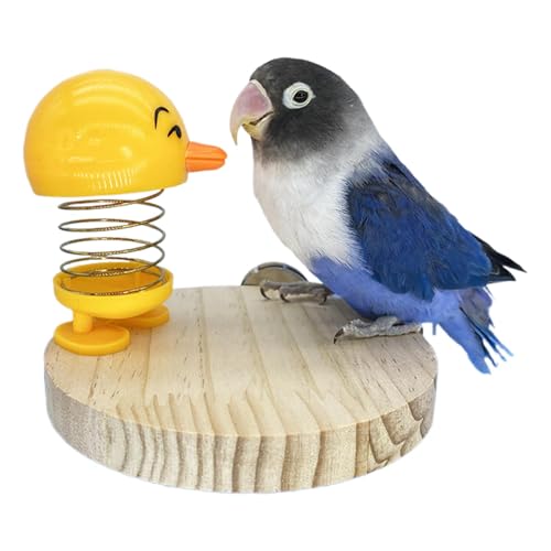Papageienspielzeug, Vogel-Trainingsspielzeug für Käfig, Kauspielzeug für Papageien, Spielzeug für Wellensittiche, Vogelfuttersuchspielzeug, Cartoon-Vogel, Dekor Papageienspielzeug, Vogel-Trainingsspielzeug für Käfig, Kauspielzeug für Papageien, Spielzeug für Wellensittiche, Vogelfuttersuchspielzeug, Cartoon-Vogel, Dekor von Vgvgaj