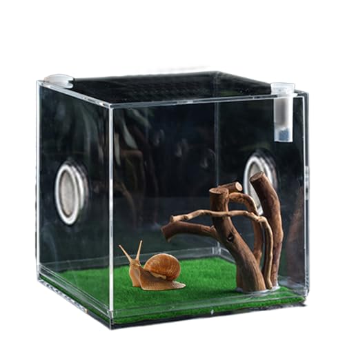 Vgvgaj Habitat Reptilienkäfig, kleiner Käfig für Reptilien, transparent, 360 Grad, für Eidechsen, für Haustiere Vgvgaj Habitat Reptilienkäfig, kleiner Käfig für Reptilien, transparent, 360 Grad, für Eidechsen, für Haustiere von Vgvgaj