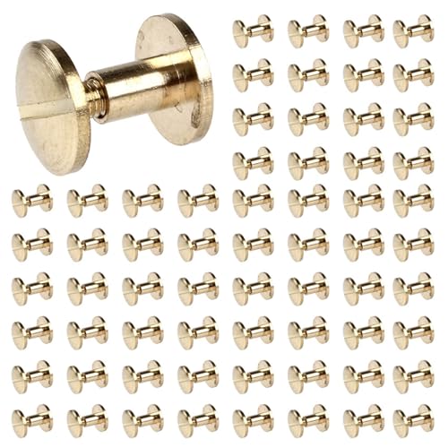 Vheolk 200-Fach Arc Massivmessingknopf Bolzen Schraubnagels Schraube Ruecken Leder Niet Gurt 6mm von Vheolk