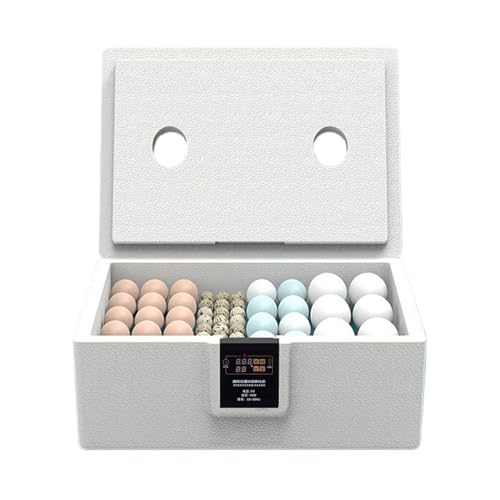 Vhjlfig Brutautomat Vollautomatisch Brutgeräte Für 10-25 Wachteleier ABS Eierinkubator Brutautomat Vollautomatisch Ei -Inkubator Thermostat Mit Automatischer Wendefunktion Brutautomat Für Vögel von Vhjlfig