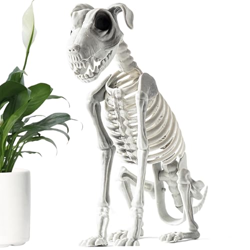 Vhjlfig Grusel Hund Skelett Mit Bewegungsensor 31x40cm Grusel Tier Skelett Mit Echsen Zähnen PP Horror Tier Skeletts Horror Deko Perfect Für Halloween-Party Hausdekoration Schaurige Events Vhjlfig Grusel Hund Skelett Mit Bewegungsensor 31x40cm Grusel Tier Skelett Mit Echsen Zähnen PP Horror Tier Skeletts Horror Deko Perfect Für Halloween-Party Hausdekoration Schaurige Events von Vhjlfig