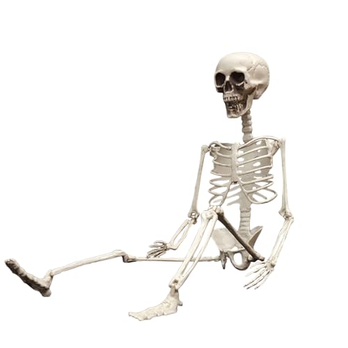 Vhjlfig Halloween Skelett,60cm Skelett Halloween Deko - Anatomisch Korrekt Zusammenklappbare Deko Schädel Für Zuhause Garten Und Party Events Vhjlfig Halloween Skelett,60cm Skelett Halloween Deko - Anatomisch Korrekt Zusammenklappbare Deko Schädel Für Zuhause Garten Und Party Events von Vhjlfig