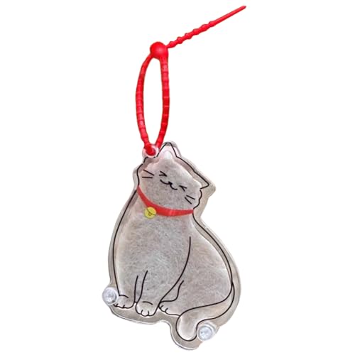 Vhjlfig Katzenhaar Andenken | Hundefell Sammler Erinnerungsstück | Nachfüllbarer Acrylicher Schön Erinnerungsanhänger Unisex Geschenk Für Taschen von Vhjlfig