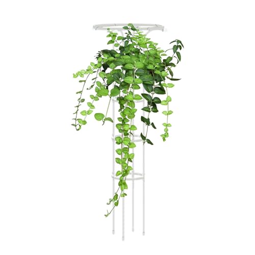 Vhjlfig Kletterpflanzengitter 155x25cm Gartenspalier PP-beschichteter Stahl Strauchstütze Rosenstütze Staudenstütze Für Kletterpflanzen Und Gemüse Vhjlfig Kletterpflanzengitter 155x25cm Gartenspalier PP-beschichteter Stahl Strauchstütze Rosenstütze Staudenstütze Für Kletterpflanzen Und Gemüse von Vhjlfig