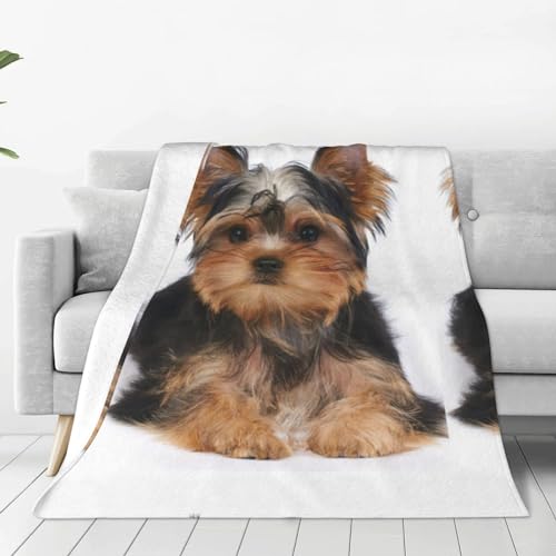 Decke, Hund, EIN Welpe des Yorkshire Terrier liegt auf weißem, kleinem Yorkie, Bezaubernde weiche Überwurfdecke, warme Decken, leichte Flauschige Flanellüberwürfe 150X125 cm von VhoMes