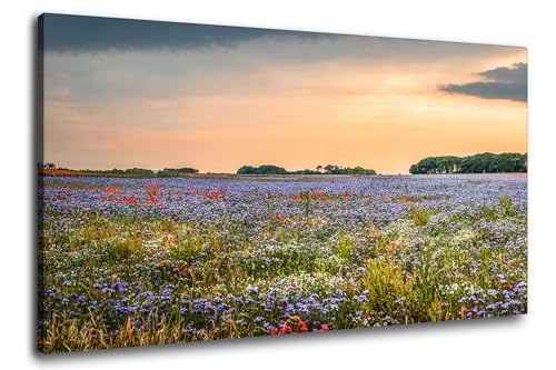 Via Artis Leinwandbild - 100x50 cm XXL Format - Premium Wandbilder für Wohnzimmer & Schlafzimmer - Blumen Landschaft - Blumenmeer auf Rügen von Via Artis