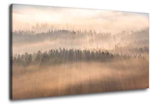 Via Artis Leinwandbild - 100x50 cm XXL Format - Premium Wandbilder für Wohnzimmer & Schlafzimmer - Sonnenaufgang Wald - Baumkronen im Nebelwald von Via Artis