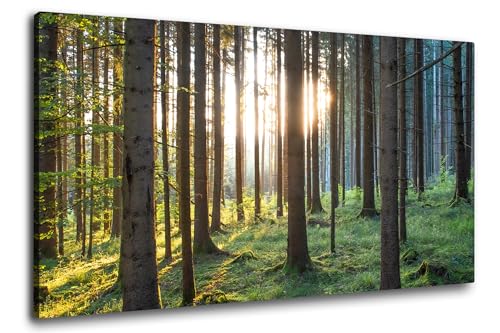 Via Artis Leinwandbild - 100x50 cm XXL Format - Premium Wandbilder für Wohnzimmer & Schlafzimmer - Wald grün Bäume - Sonnenaufgang im Schwarzwald von Via Artis